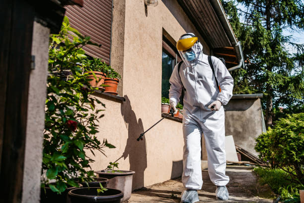 Best Pest Prevention Services  in Tiltonsville, OH