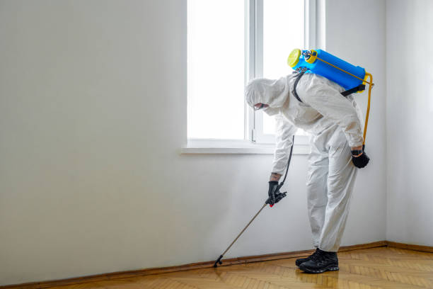 Best Local Pest Control Services  in Tiltonsville, OH